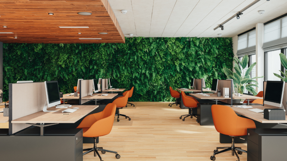 Green Building: Nachhaltigkeit für moderne Offices