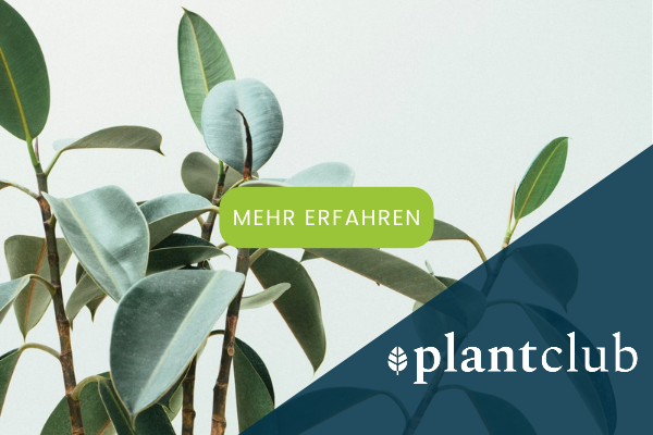 Plantclub Partner bürosuche.de